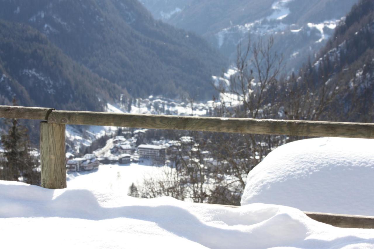 Studio Ebi Vacation - Alleghe - Monte Civetta Kültér fotó